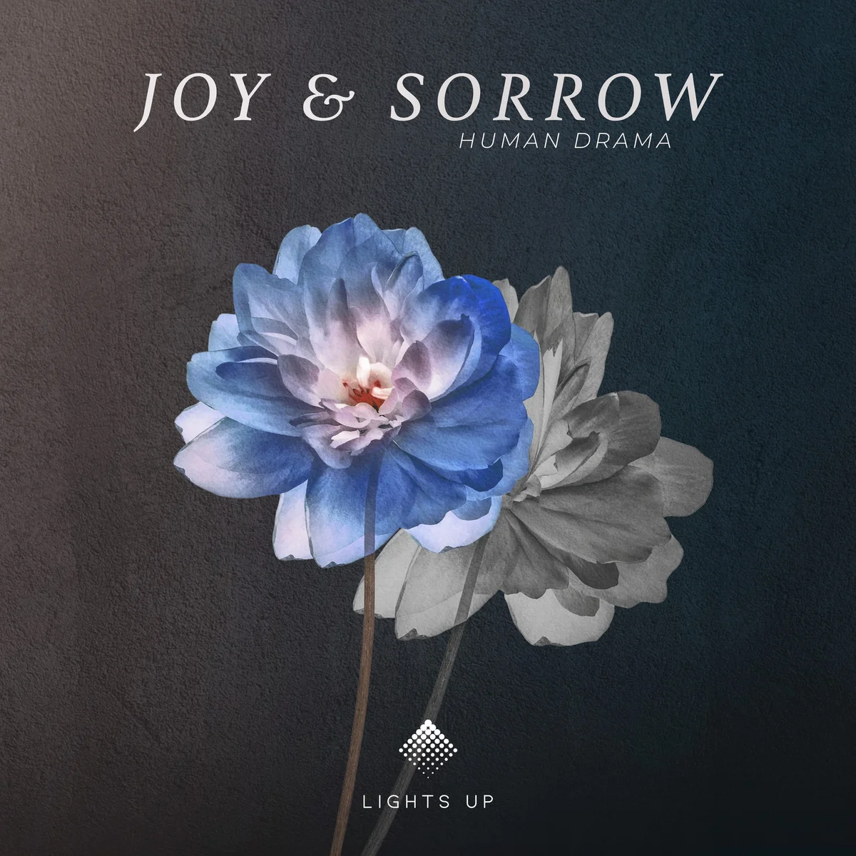 Joy & Sorrow, cover art by Daniel Markes